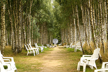 white wooden chairs surrounded with trees thumbnail