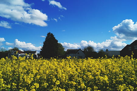 landscape, nature, houses, clouds thumbnail