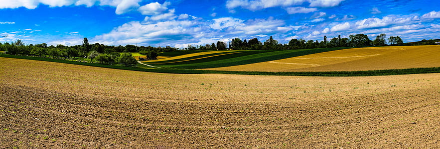 panorama photography of field thumbnail