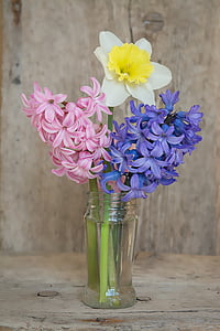 two pink and purple Hyacith and Daffodil flowers in clear glass bottle thumbnail