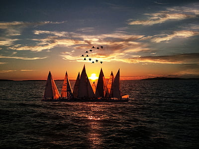 sailboats on body of water during golden hour thumbnail
