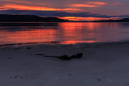 black wood log near sea at sundown thumbnail