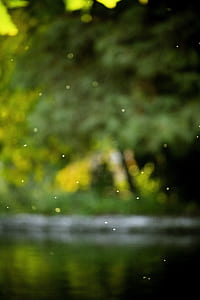 bokeh photography of lights thumbnail