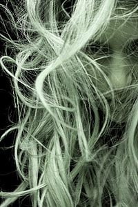 close-up photo of woman with white hair thumbnail
