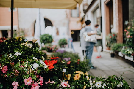 Flower shop in Castelfranco Veneto, Italy thumbnail