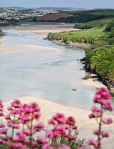 body of water surrounded by plants thumbnail