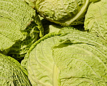 bunch of cabbage vegetables thumbnail