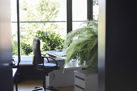 black leather rolling chair infront of desk inside room with green potted plant thumbnail