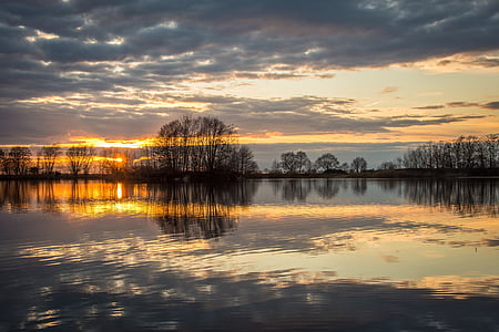 silhouette of trees surrounded by body of water thumbnail