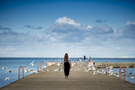 woman walking on dock overlooking beach with birds around under blue sky thumbnail
