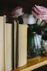 Lovely roseses, book and coffee thumbnail