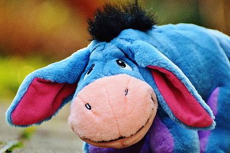 selective focus photography of Winnie the Pooh Eeyore plush toy thumbnail