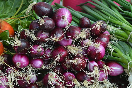 bunch of red onions thumbnail