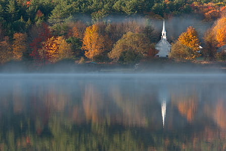 photo of house and trees with body of water reflection thumbnail