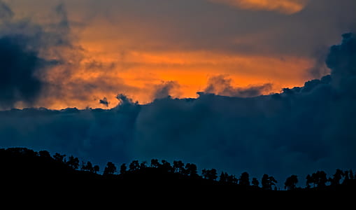 silhouette of trees thumbnail