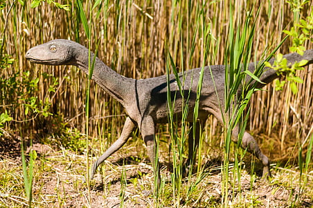 brown dinosaur illustration thumbnail