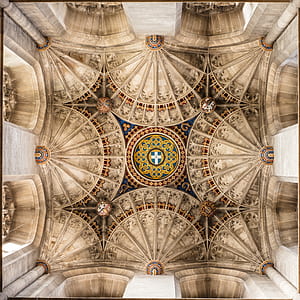 beige and brown ceiling of building thumbnail