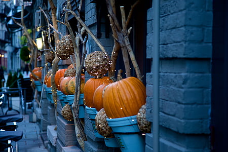 orange pumpkins outside gray concrete building thumbnail