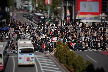 White Bus on Concrete Street Near Group of People Crossing Pedestrian Lane thumbnail