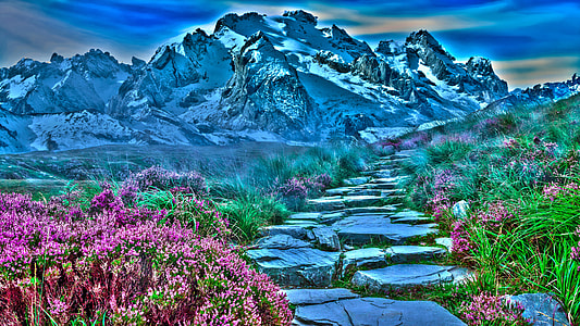 rocky pathway between pink flowers through mountain illustration thumbnail