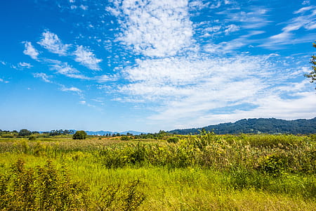 green grass field under cloudy sky during daytime thumbnail