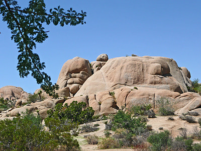 Joshua Tree National Park, California thumbnail