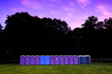 purple and blue boxes with silhouette of trees behind thumbnail