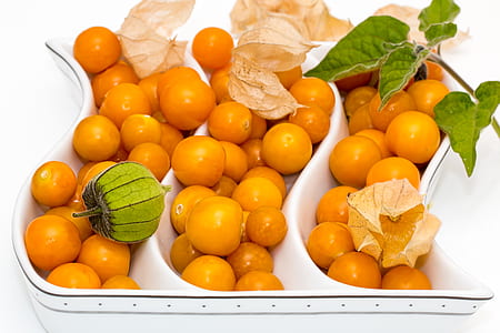 orange tomato lot thumbnail