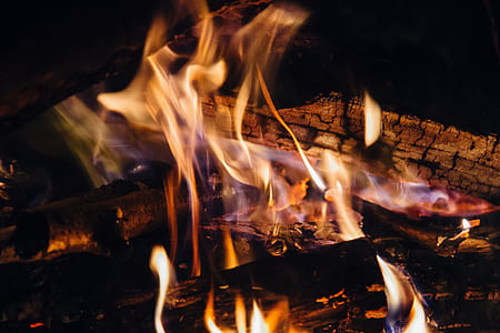 brown flaming woods thumbnail
