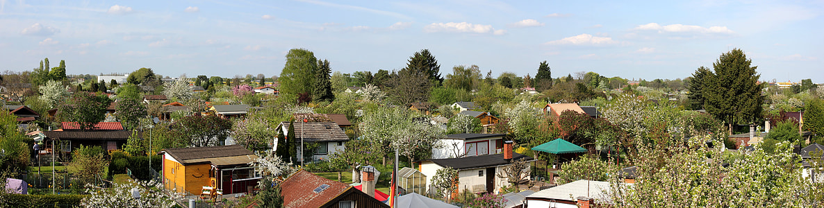 village with trees under blue sky thumbnail