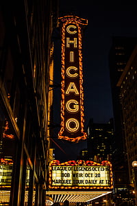 Chicago building during nigh time thumbnail