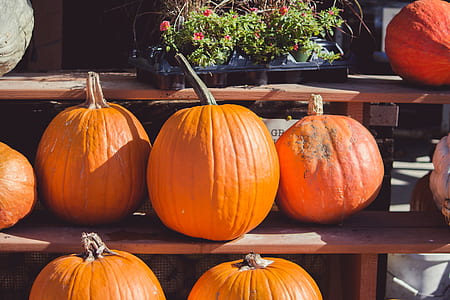 pumpkins on brown wooden rack thumbnail