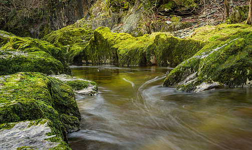 time-lapse photography of running river water surrounded with green moss covered gray rocks during daytime thumbnail