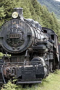 photography of black train surrounded by forest trees outdoors thumbnail