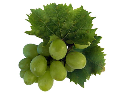 photo of green fruits with leafed thumbnail