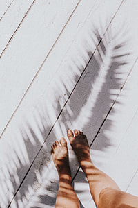 Palm leaf and shadow thumbnail