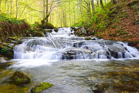 water stream near trees and stones thumbnail