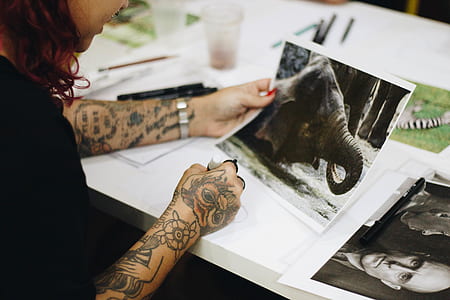 person holding elephant photograph thumbnail
