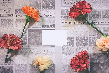 three red, one orange and two beige flowers on top of newspaper thumbnail