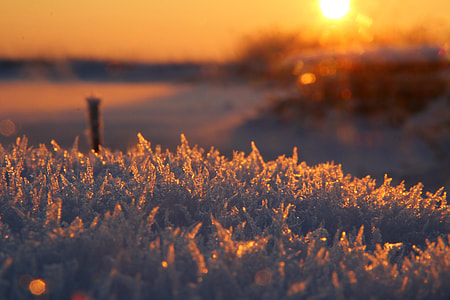 ice, frozen, snow, sunset thumbnail