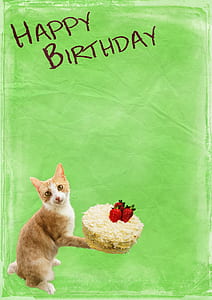 cat holding cake graphic with happy birthday text thumbnail