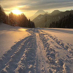 photo of snow covered ground and trees at sunrise thumbnail