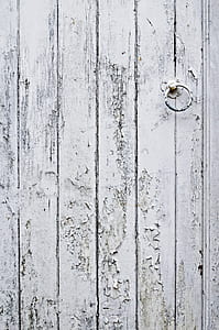 white wooden door with door knocker thumbnail