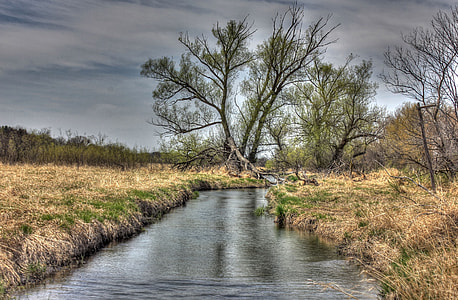 body of water surrounded with bare trees thumbnail