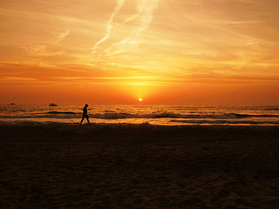 silhouette person on seashore thumbnail