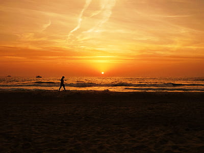 silhouette photography of person walking on seashore during golden hour thumbnail
