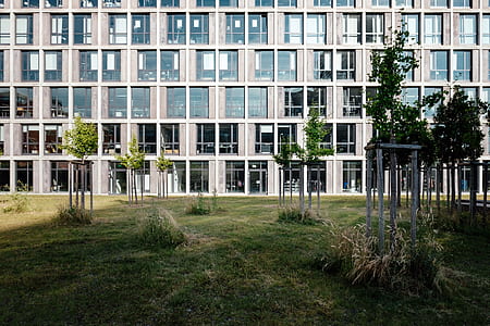 green leafed trees in front of concrete structure thumbnail