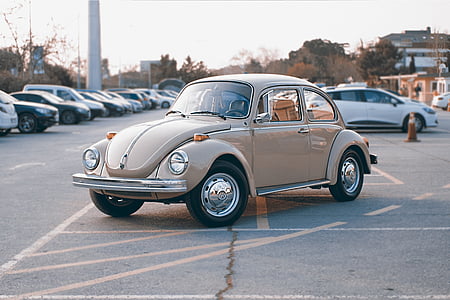 classic gray Volkswagen Beetle coupe at parking lot thumbnail