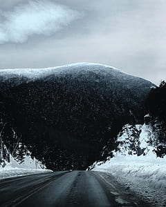 clear road between trees covered with snow thumbnail