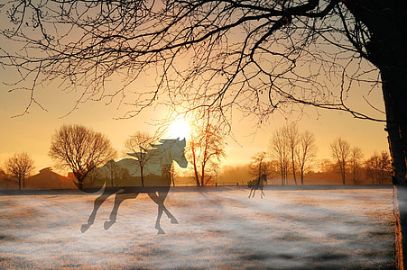 two horse galloping beside bare tree thumbnail